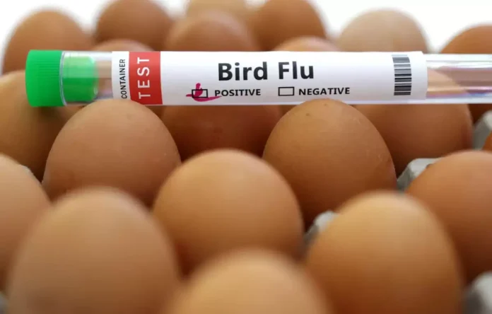 Australia allocates $64 million to strengthen its measures against bird flu.